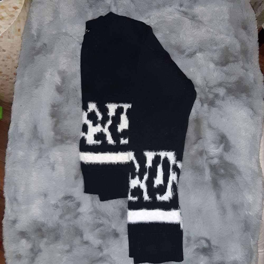Express Crop Sweater XS  ☆